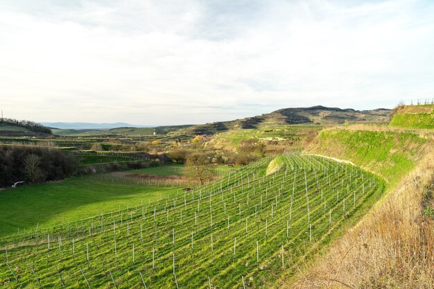 Photo vue panoramique d'un champ agricole contre le ciel