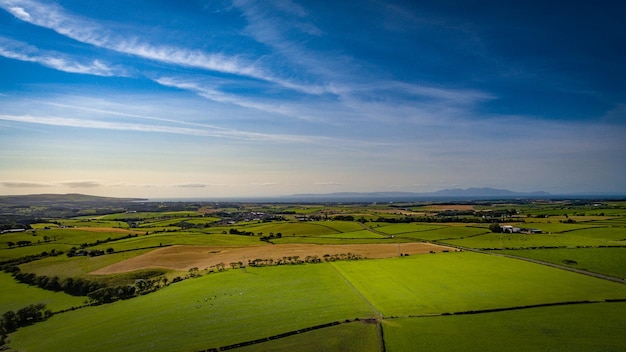 Vue panoramique d'un champ agricole contre le ciel