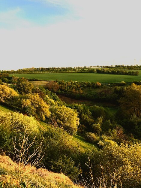 Photo vue panoramique d'un champ agricole contre le ciel