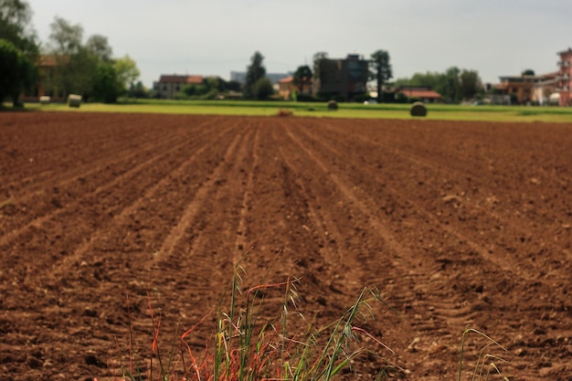 Photo vue panoramique d'un champ agricole contre le ciel