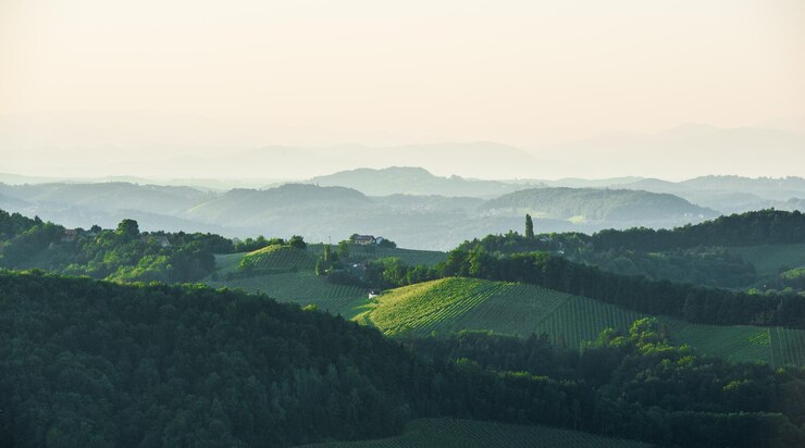 Photo vue panoramique d'un champ agricole contre le ciel