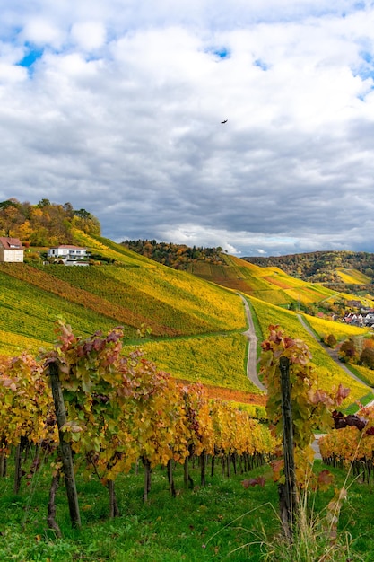 Photo vue panoramique d'un champ agricole contre le ciel