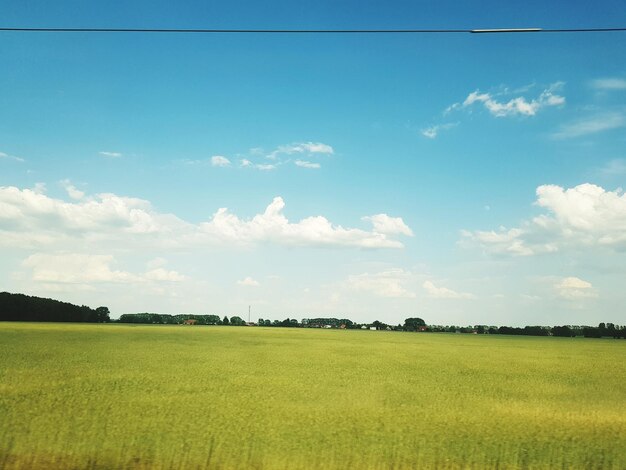 Vue panoramique d'un champ agricole contre le ciel