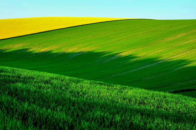 Photo vue panoramique d'un champ agricole contre le ciel