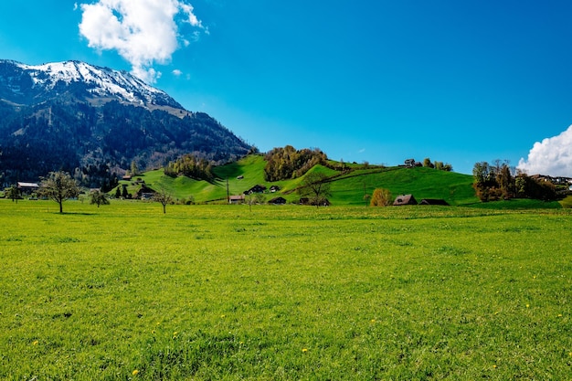 Vue panoramique d'un champ d'herbe contre le ciel