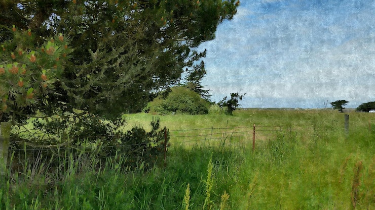 Photo vue panoramique d'un champ d'herbe contre le ciel