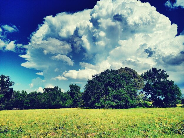 Photo vue panoramique d'un champ herbeux contre un ciel nuageux