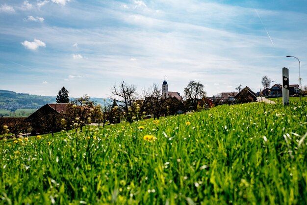 Vue panoramique d'un champ herbeux contre le ciel