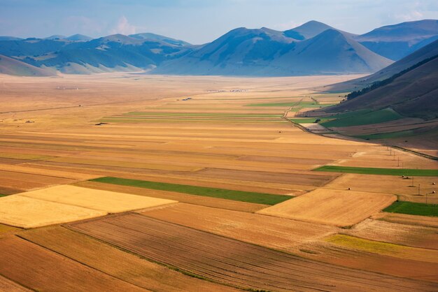 Vue panoramique sur les champs agricoles et agricoles