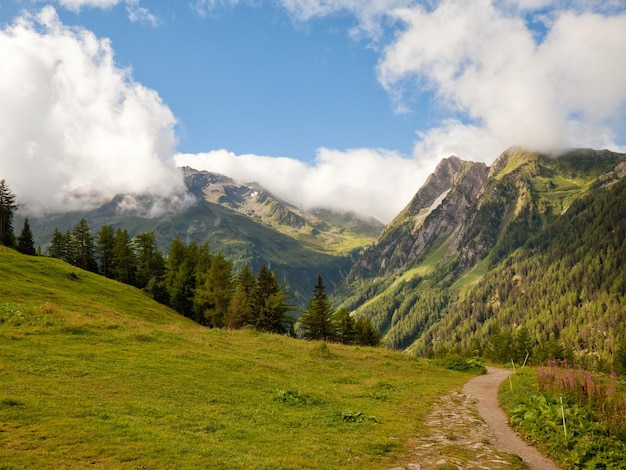 Vue panoramique des champs herbeux et des montagnes contre le ciel