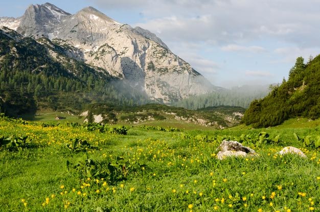 Vue panoramique des champs et des montagnes contre le ciel