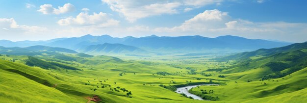 Vue panoramique des champs verts sans fin sous un ciel bleu serein avec des nuages blancs et moelleux