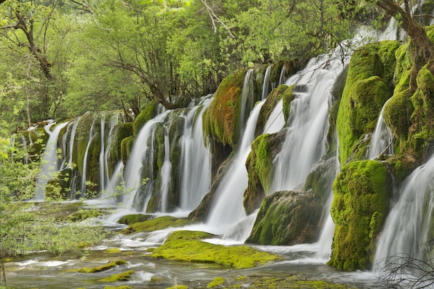 Vue panoramique des chutes d'eau