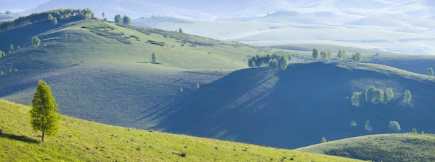 Vue panoramique sur les collines verdoyantes et les prairies à la lumière du matin