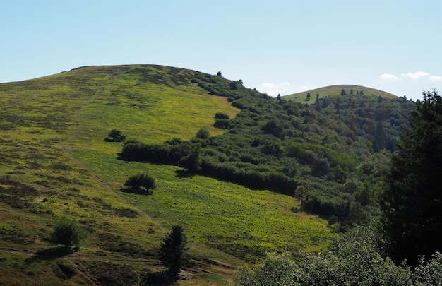 Vue panoramique des collines vertes contre le ciel
