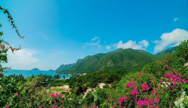 Vue panoramique sur la côte de Con Dao d'en haut avec des vagues littoral ciel clair et mer bleue de la route