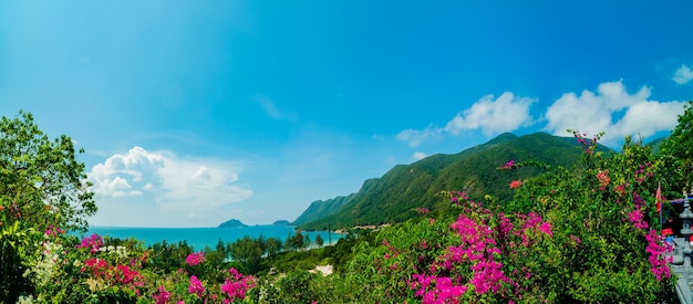 Vue panoramique sur la côte de Con Dao d'en haut avec des vagues littoral ciel clair et mer bleue de la route