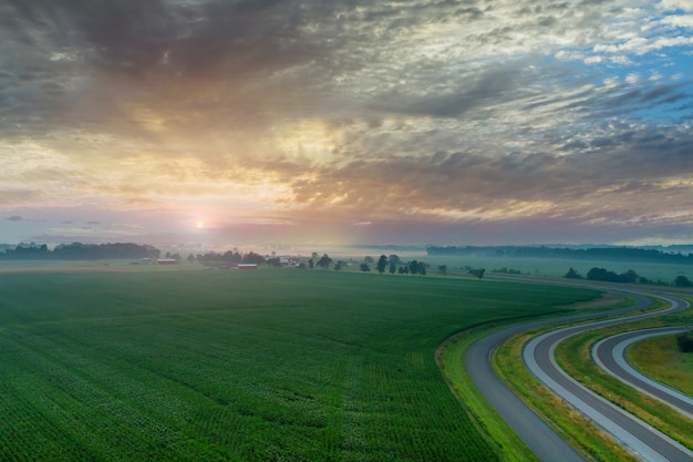 Vue panoramique dans le paysage après la pluie avec une légère brume lever du soleil sur un champ avec de l'herbe verte l'été près de la route