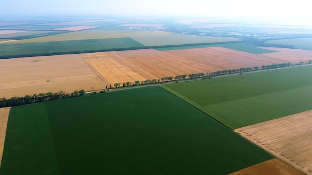 Vue panoramique de dessus de différentes parties de champs agricoles de champ de blé jaune