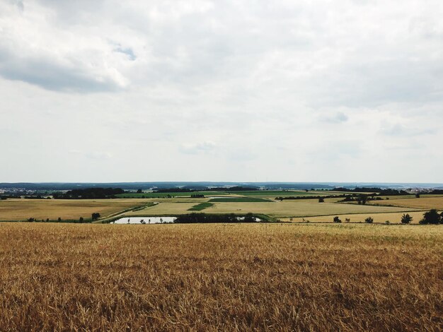 Vue panoramique du champ agricole contre le ciel.