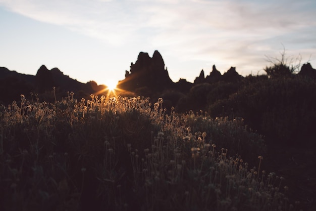 Vue panoramique du champ contre le ciel au coucher du soleil