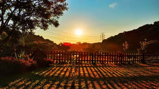 Vue panoramique du champ contre le ciel au coucher du soleil