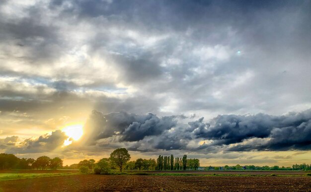 Vue panoramique du champ contre le ciel au coucher du soleil