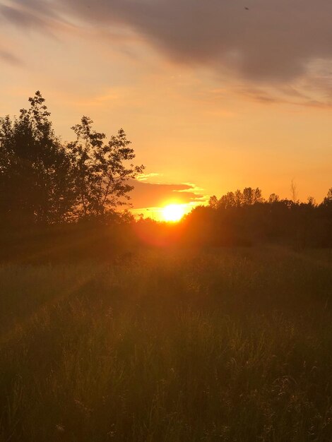 Photo vue panoramique du champ contre le ciel au coucher du soleil