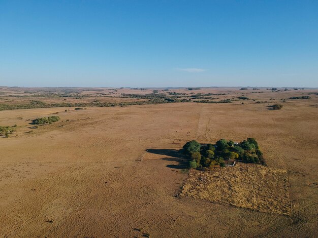 Photo vue panoramique du champ contre un ciel bleu clair