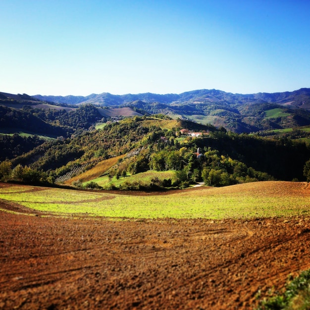 Photo vue panoramique du champ contre un ciel dégagé