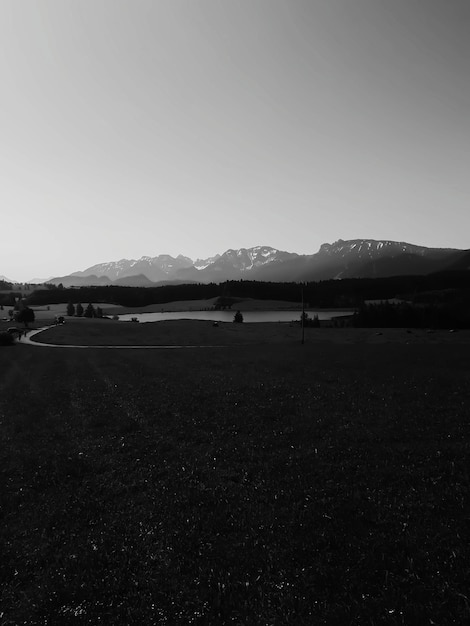 Photo vue panoramique du champ contre un ciel dégagé