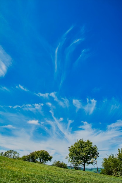 Vue panoramique du champ contre un ciel nuageux