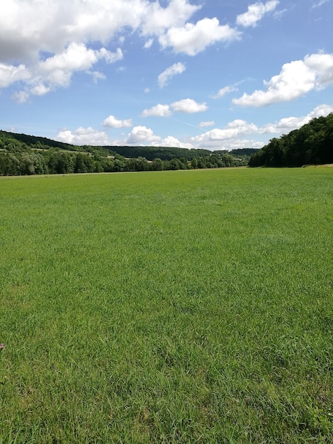 Vue panoramique du champ contre un ciel nuageux