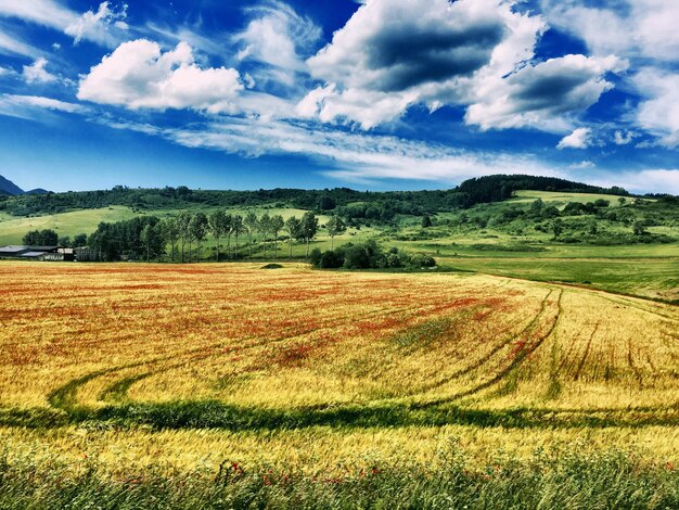 Photo vue panoramique du champ contre un ciel nuageux