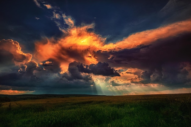 Vue panoramique du champ contre un ciel spectaculaire