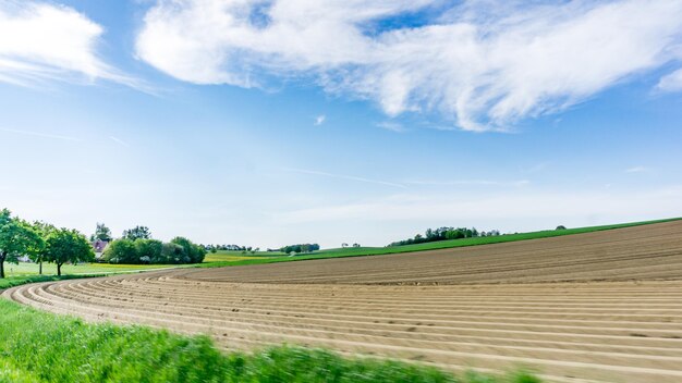 Vue panoramique du champ contre le ciel