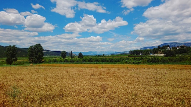 Photo vue panoramique du champ contre le ciel