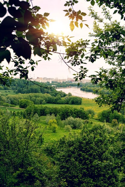 Vue panoramique du champ contre le ciel