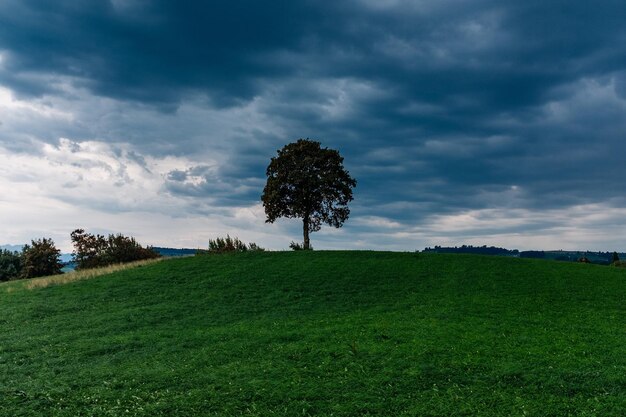 Vue panoramique du champ contre le ciel