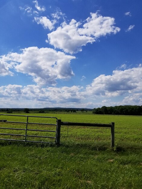 Vue panoramique du champ contre le ciel