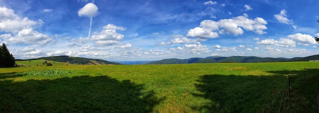 Vue panoramique du champ contre le ciel