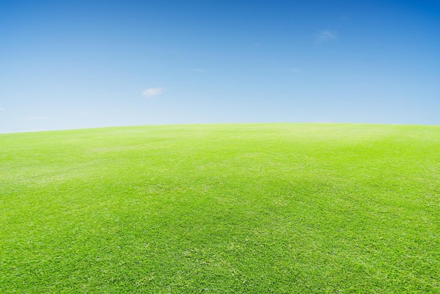 Vue panoramique du champ contre le ciel