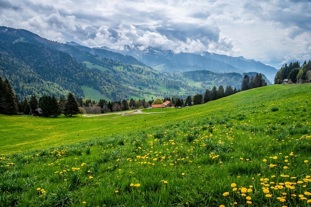 Vue panoramique du champ contre le ciel