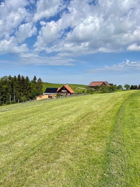 Photo vue panoramique du champ contre le ciel