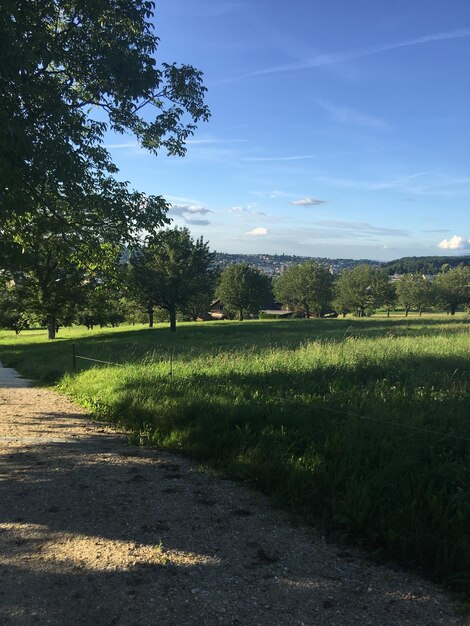 Vue panoramique du champ contre le ciel