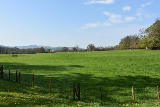 Vue panoramique du champ contre le ciel