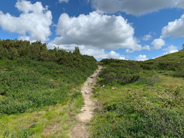 Vue panoramique du champ contre le ciel