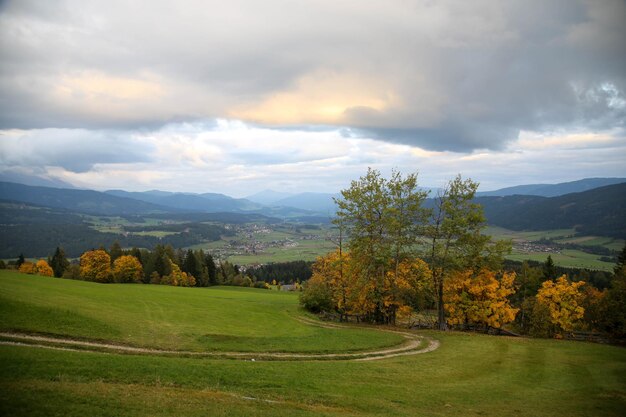 Vue panoramique du champ contre le ciel