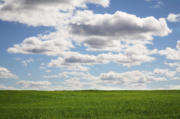 Vue panoramique du champ contre le ciel