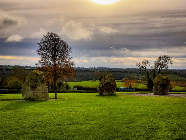 Vue panoramique du champ contre le ciel